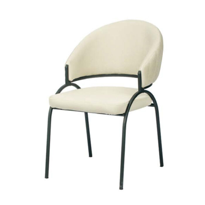 Efsan Dining Chair - Image 1