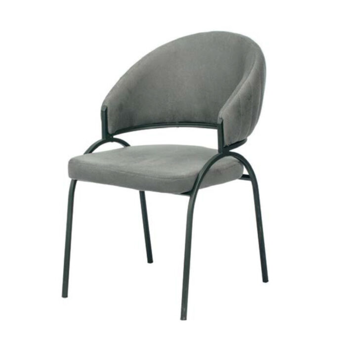 Efsan Dining Chair - Image 2