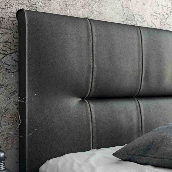 Olive - Image 3